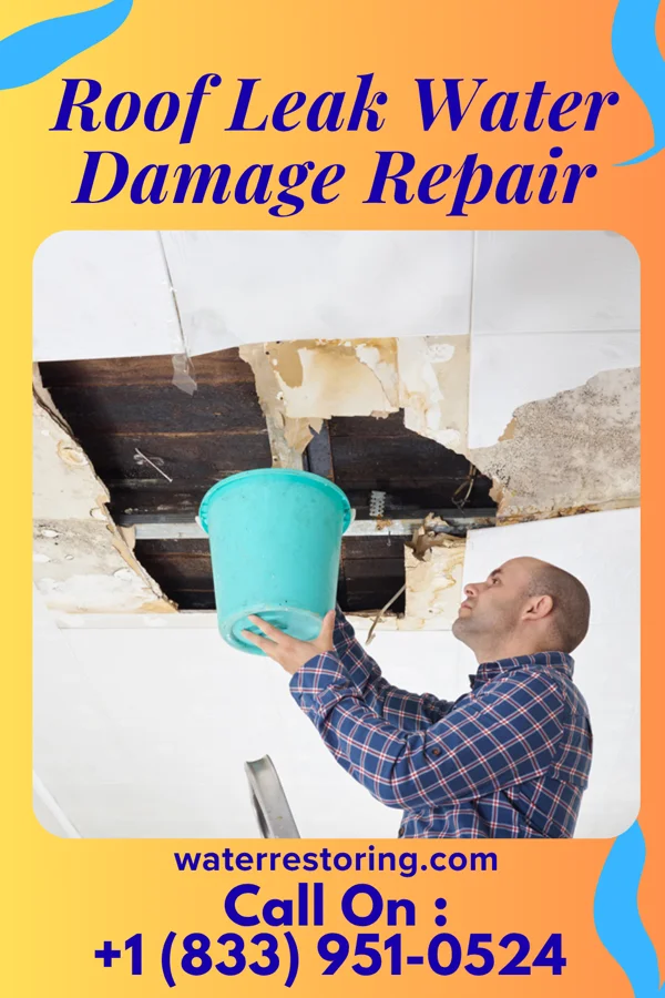 Roof Leak Water Damage Repair in Tuckerman, AR